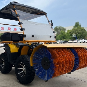 沙滩式扫雪车